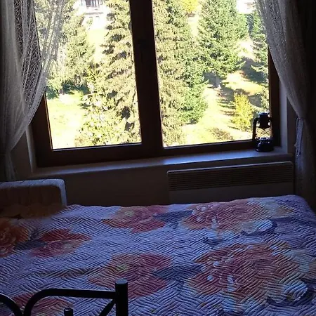 апартамент, студио хрис, лъки 4* Pamporovo