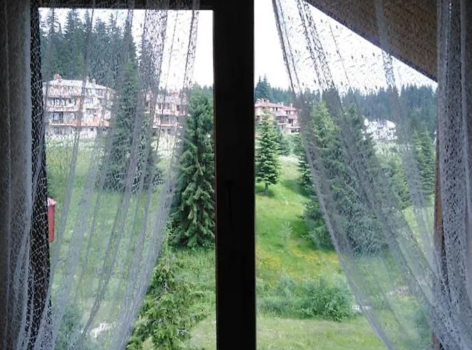 公寓式酒店 апартамент, студио хрис, лъки